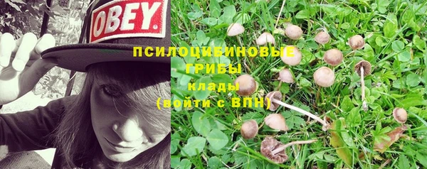 гашишное масло Куйбышев